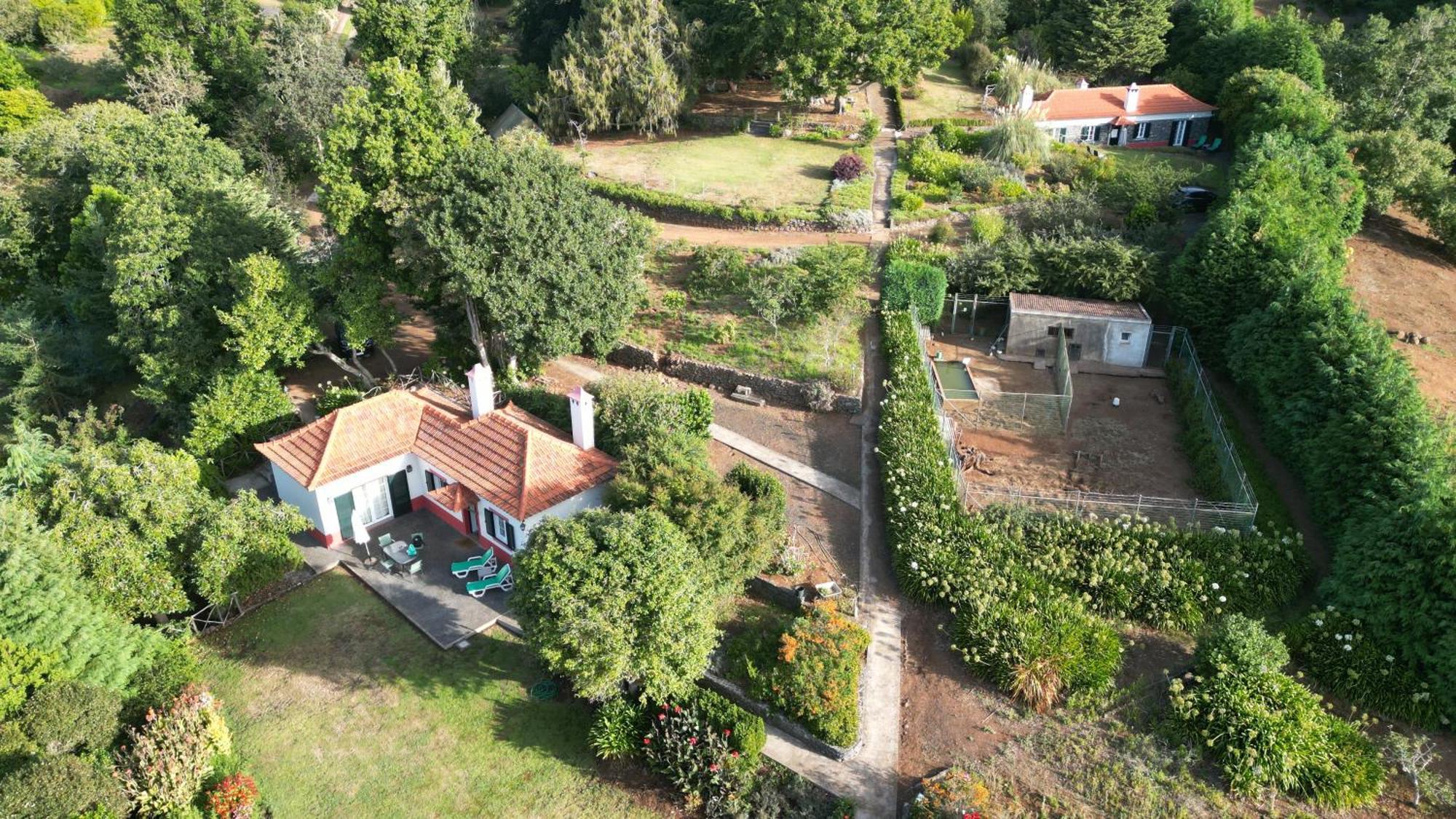 Country house Quinta Faias Camacha (Madeira)