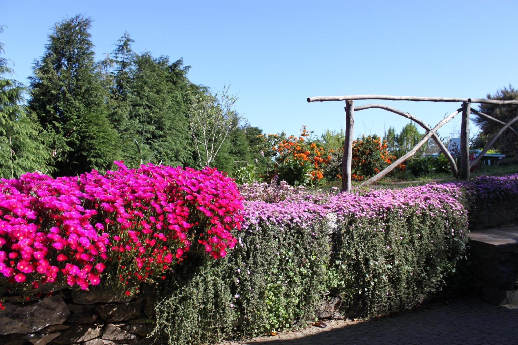 Quinta Faias Country house