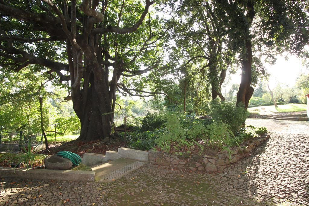 Quinta Faias