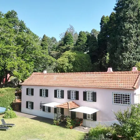 Quinta Das Faias Camacha  Exterior photo