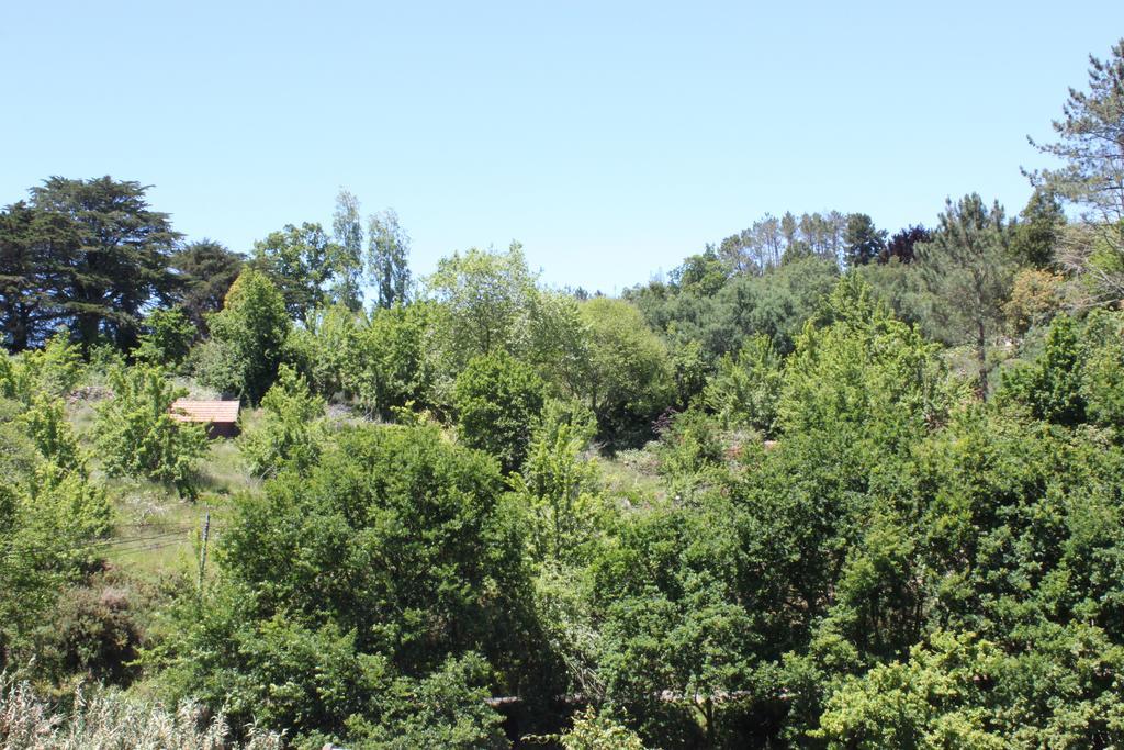 Quinta Faias