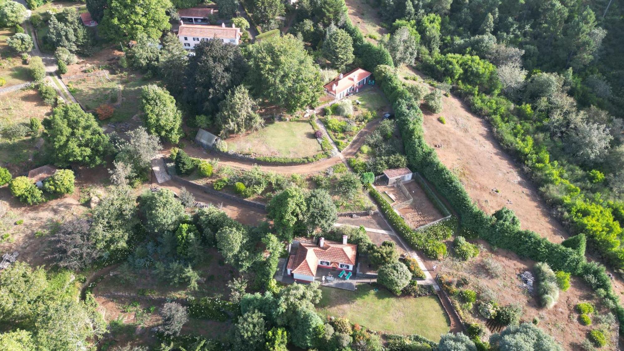 Quinta Faias * Camacha (Madeira)
