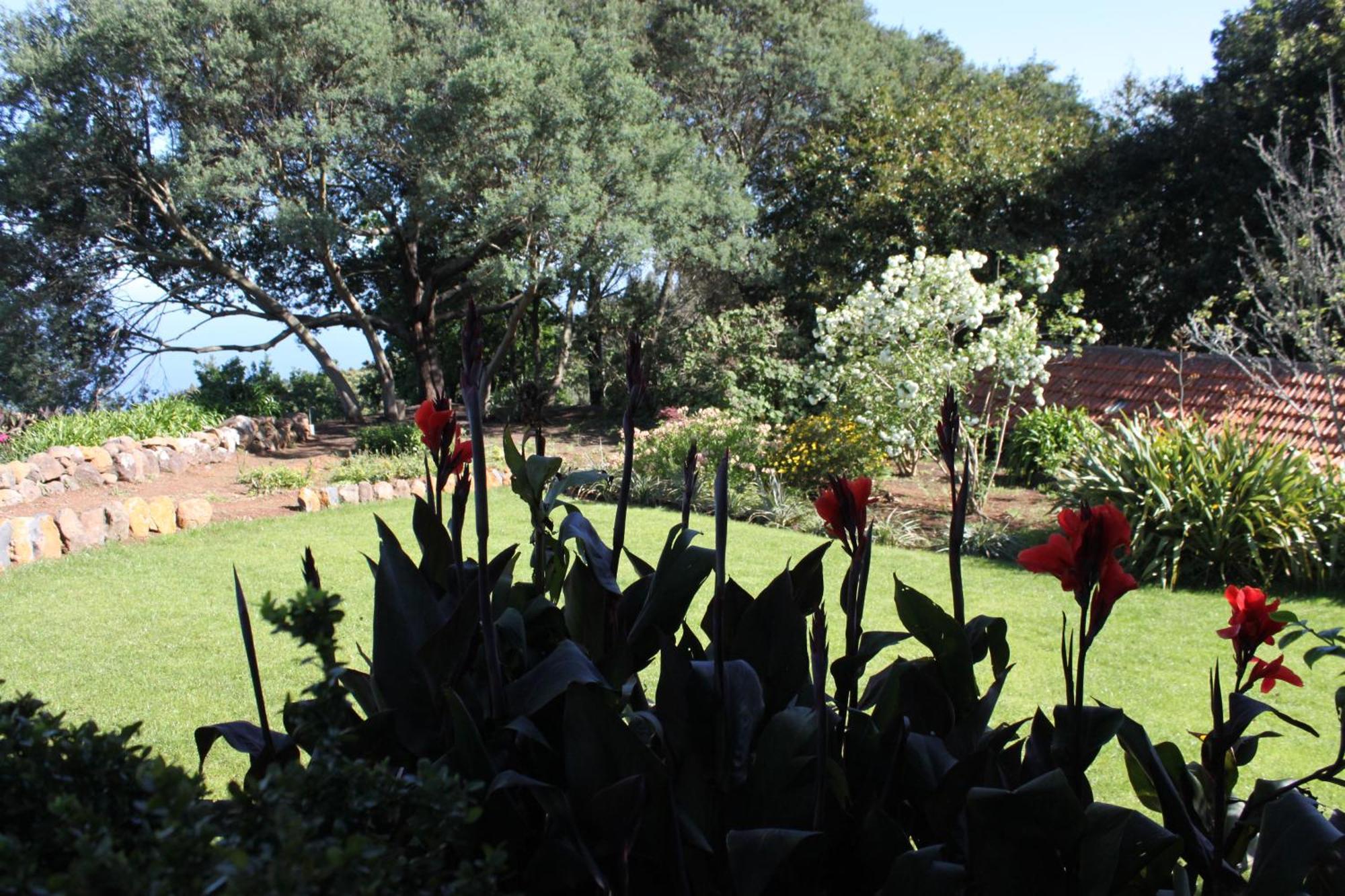 Quinta Faias Country house Camacha (Madeira)