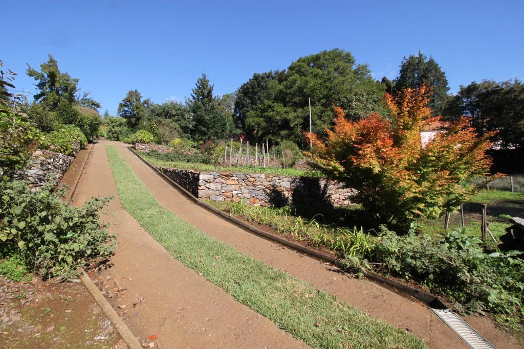 Quinta Faias Country house