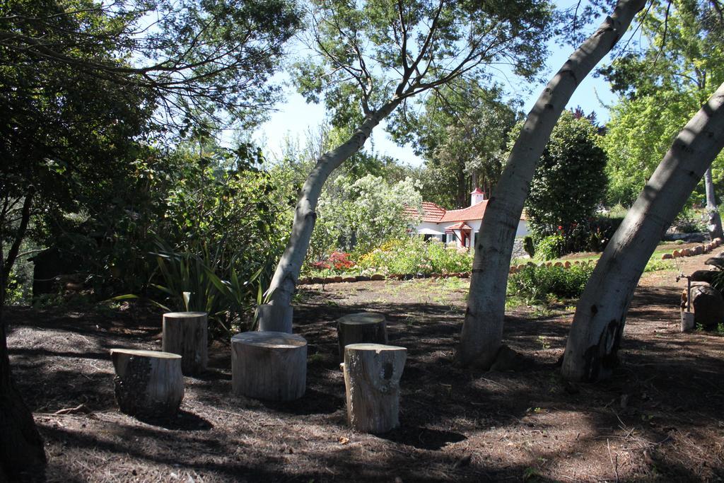 Quinta Faias Country house *