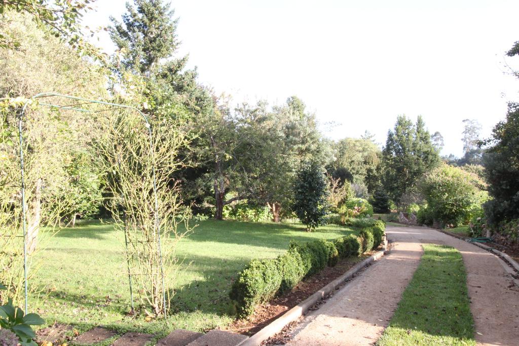 Quinta Faias Country house Camacha (Madeira)
