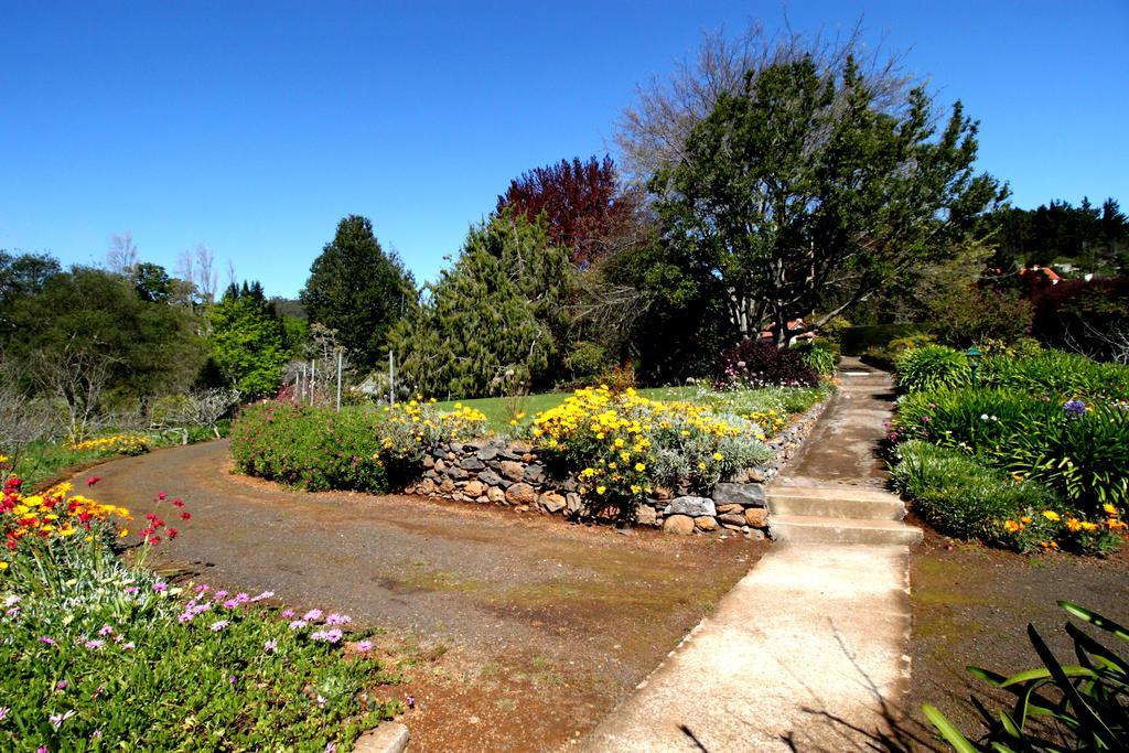 Country house Quinta Faias *