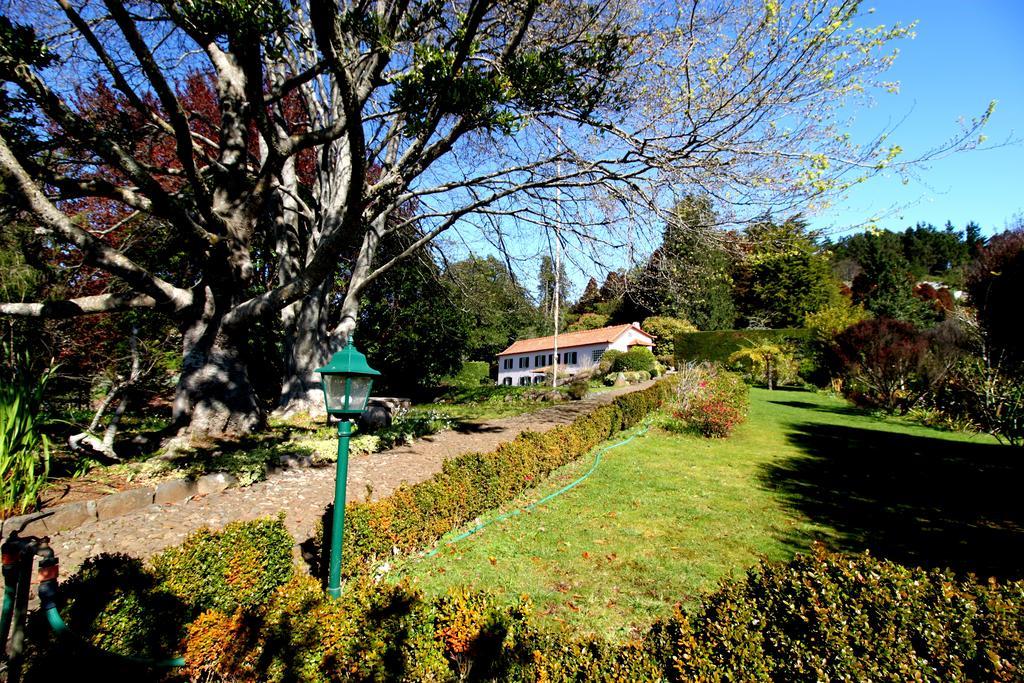 Quinta Faias Country house Camacha (Madeira)