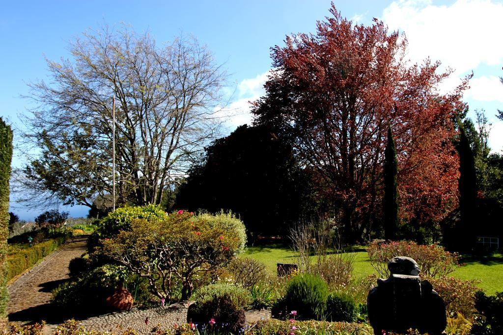 Quinta Faias Country house