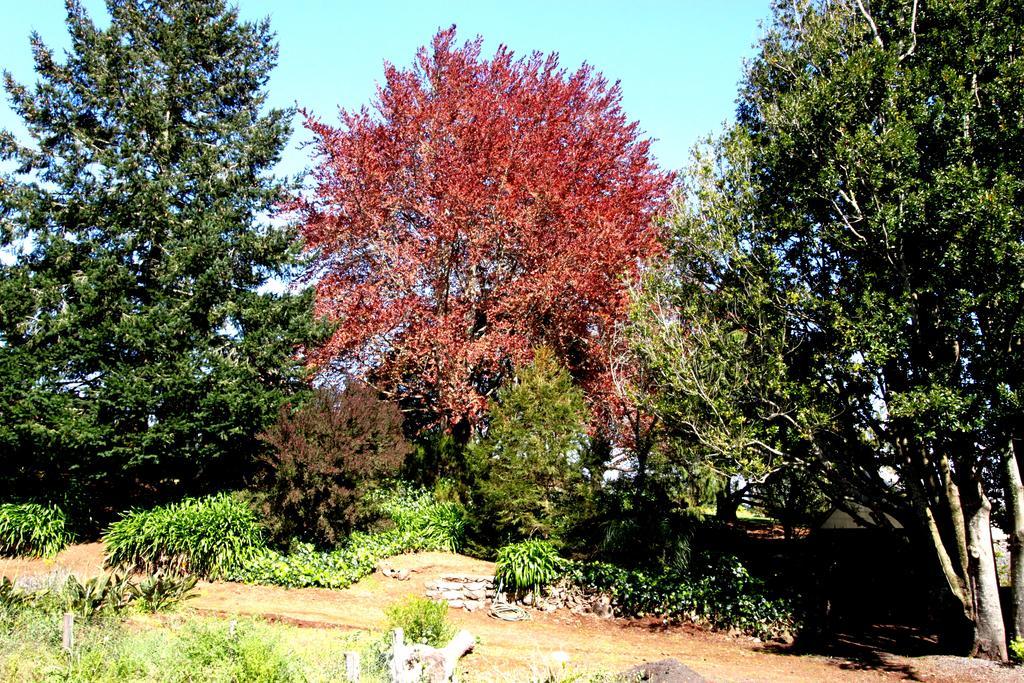 Country house Quinta Faias