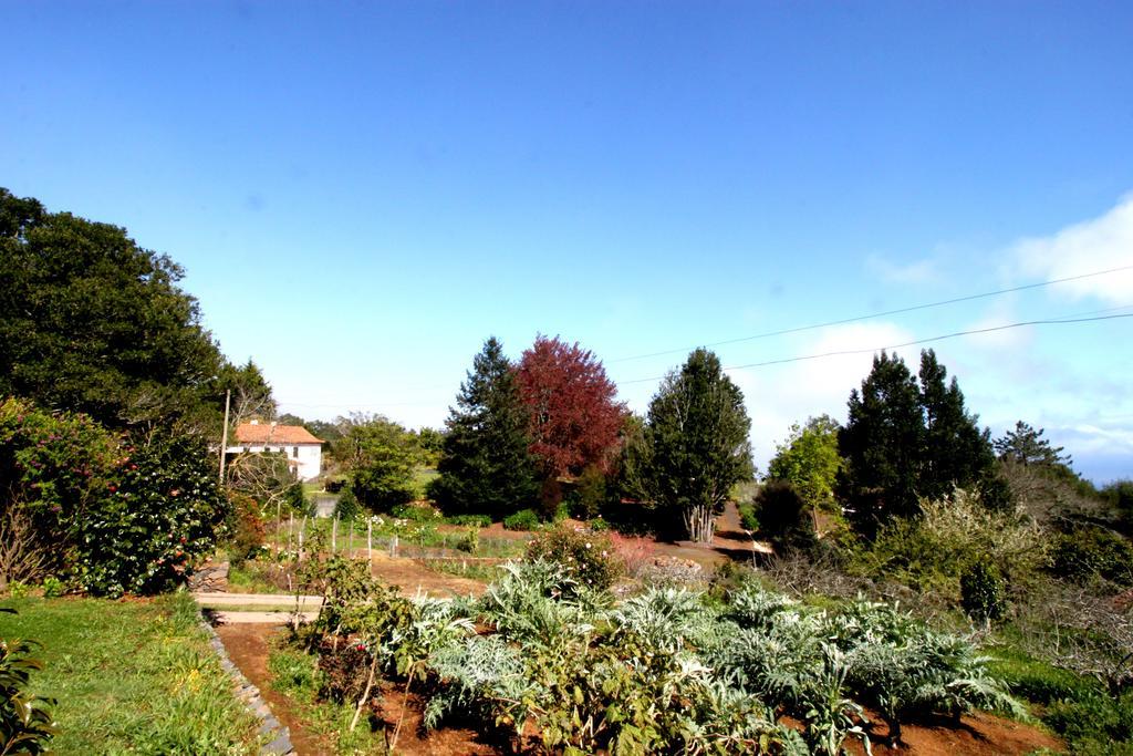 Quinta Faias Camacha (Madeira)