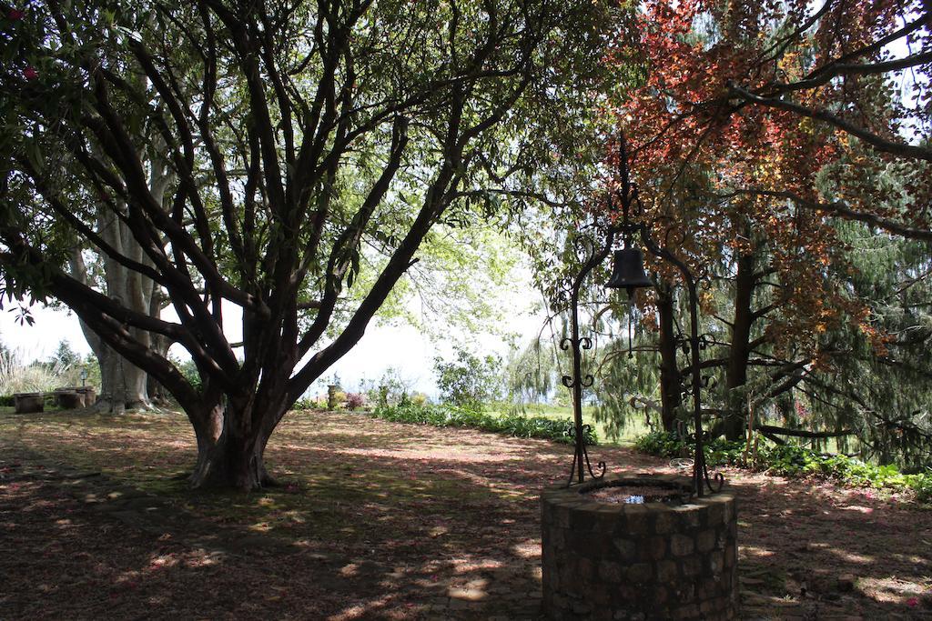 Country house Quinta Faias *