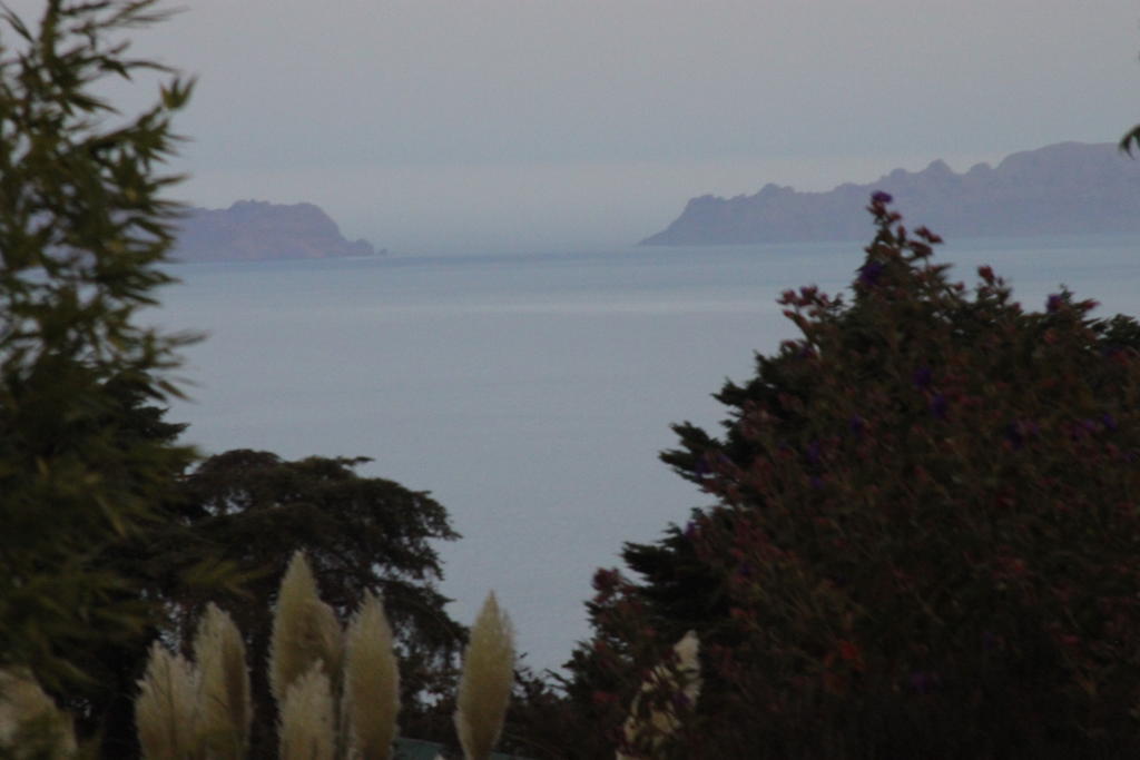 Country house Quinta Faias Camacha (Madeira)