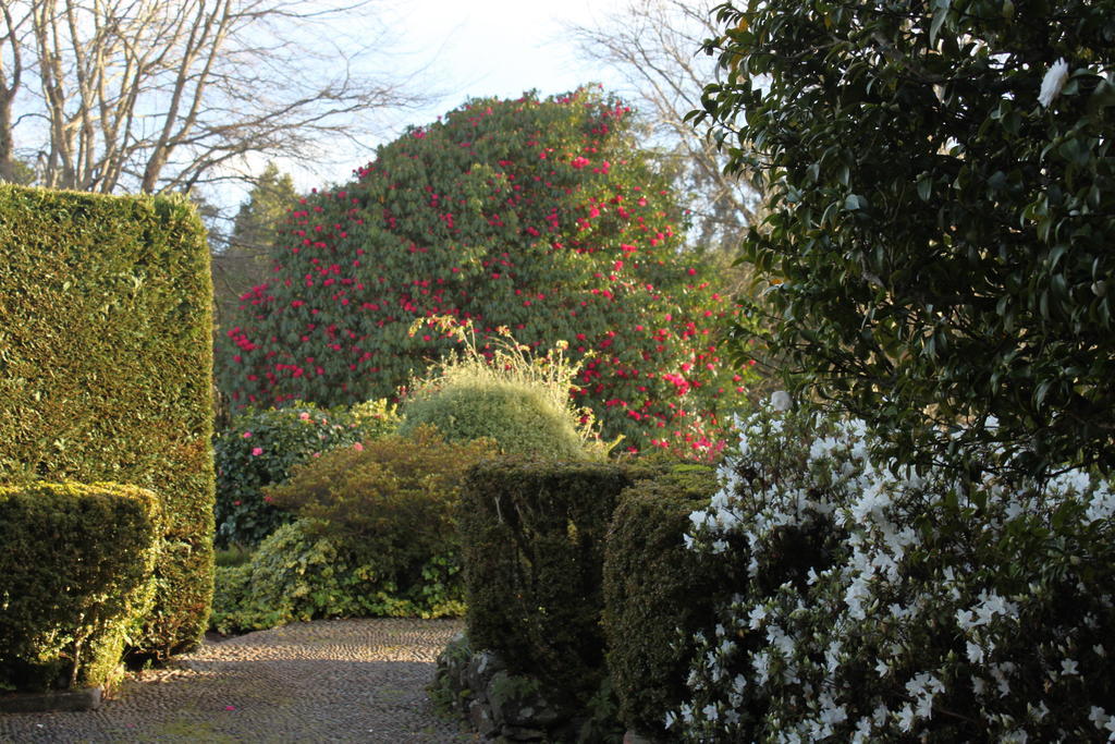 Quinta Faias