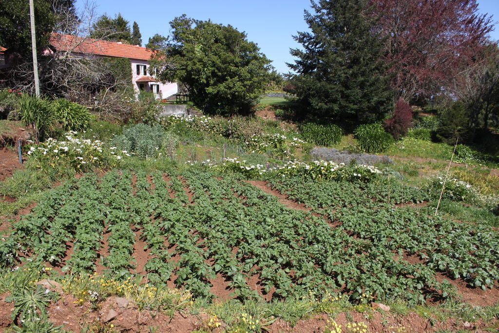 Country house Quinta Faias