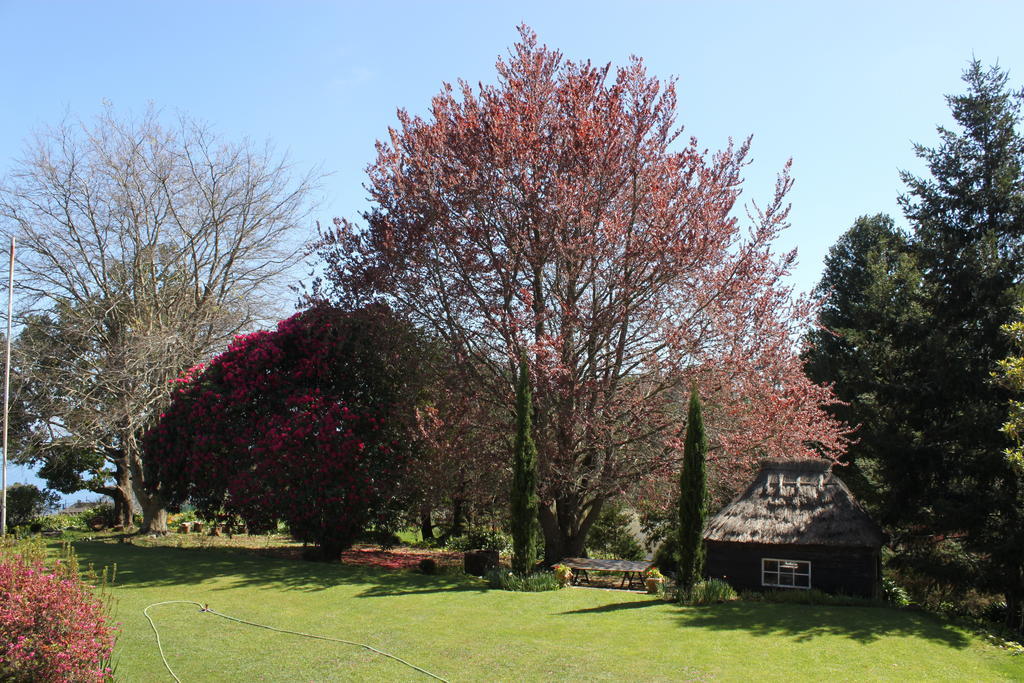 Quinta Faias Camacha (Madeira)