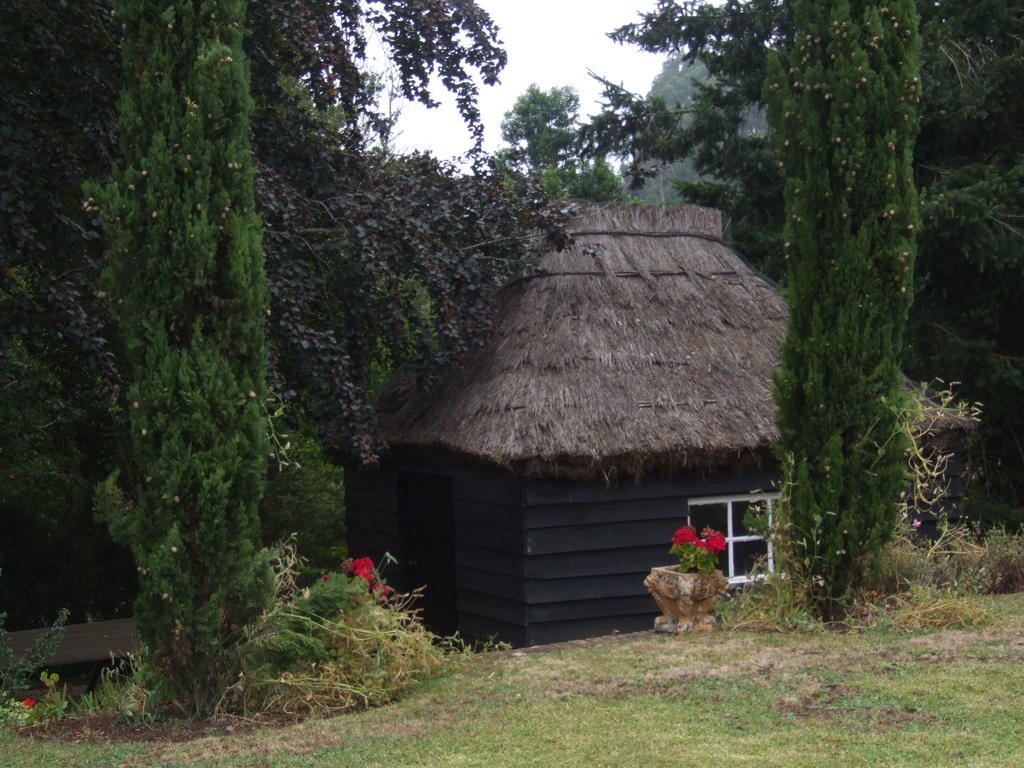 Country house Quinta Faias