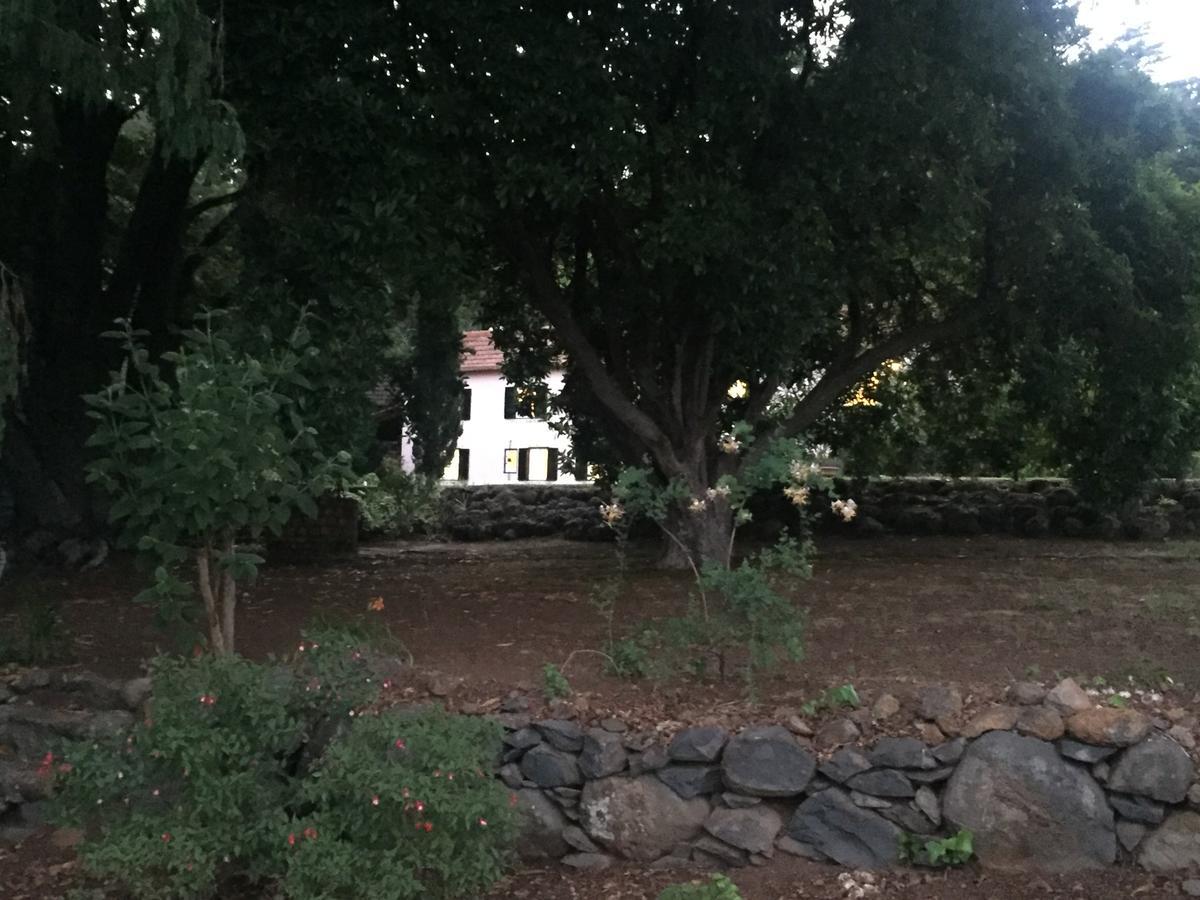 Quinta Faias Camacha (Madeira)